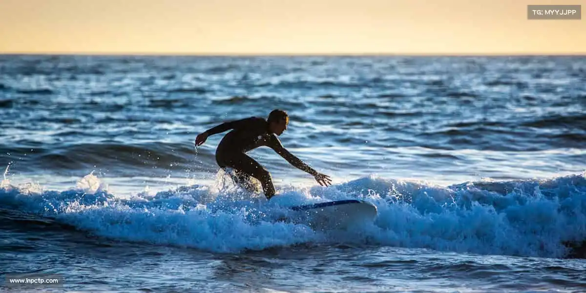 金年会体育——🎯飞镖靶心，例无虚发！